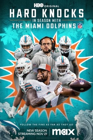 The Miami Dolphins
