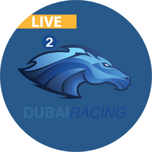 Dubai Racing 2