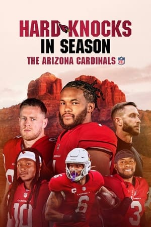 The Arizona Cardinals