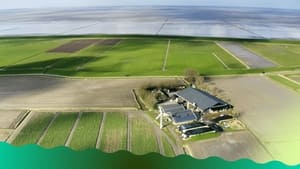 Onder de Waddenzee ligt een pot met goud verstopt