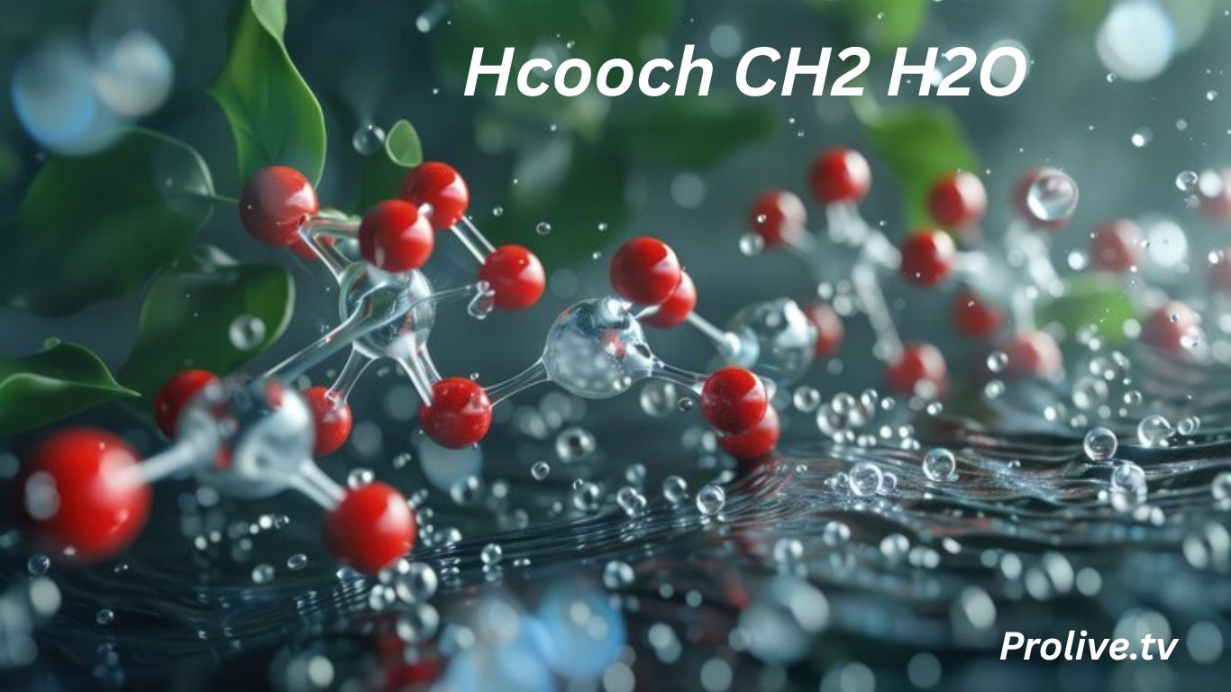 Hcooch CH2 H2O: The Role of This Molecule in Everyday Life