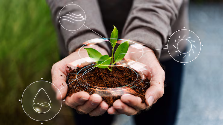mannacote: A Sustainable Solution for Your Soil Health