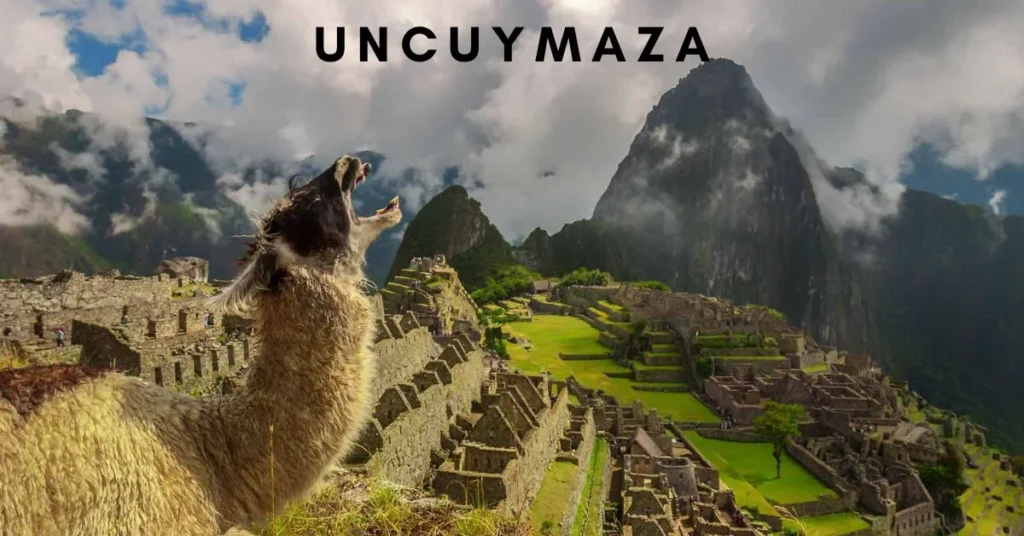 The Evolution and Significance of Uncuymaza